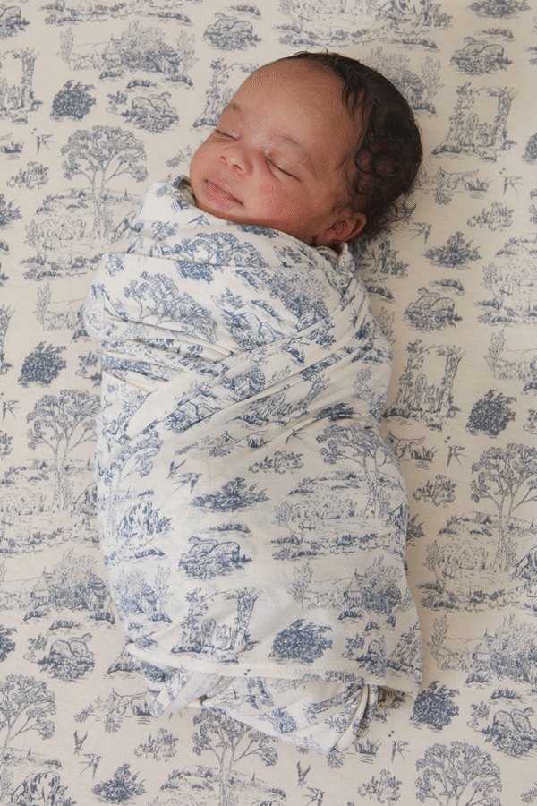 Bleu Toile Swaddle + Hat Set